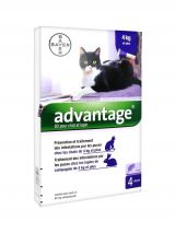 Bayer Advantage 80 для кошек от 4 кг