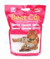 Best Cat Pink Flowers