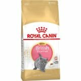 Royal Canin KITTEN BRITISH SHORTHAIR