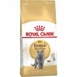 Royal Canin BRITISH SHORTHAIR ADULT